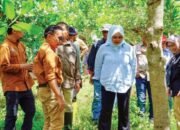 Ditjen PDASRH: Pertarungan Menyelamatkan Daerah Aliran Sungai