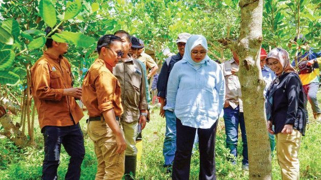 Dok Istimewa