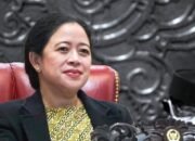 Berikan Solusi Masalah PHK di Indonesia