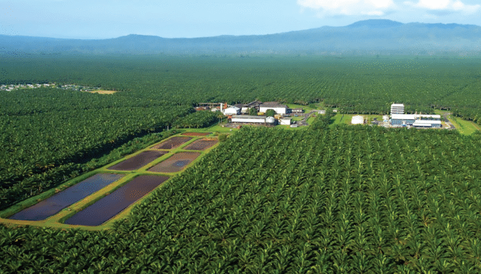 STRATEGI GAPKI DORONG PRODUKSI UNTUK TINGKATKAN EKONOMI NASIONAL