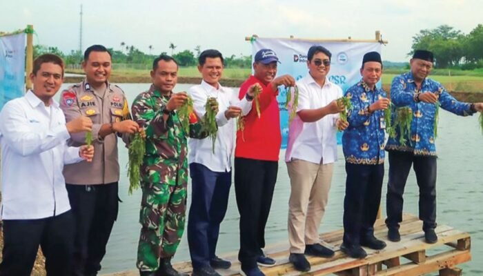 KOLABORASI DENGAN NELAYAN, PT PELAYARAN BAHTERA ADHIGUNA WUJUDKAN PERTUMBUHAN BERKELANJUTAN LEWAT BUDIDAYA ANGGUR LAUT