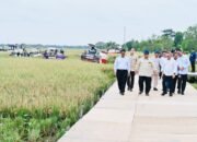 Indonesia Capai Swasembada Pangan 2025, Presiden Prabowo: Tonggak Kemerdekaan Bangsa