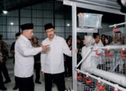 Kolaborasi Penerima Bansos dan Kopdes Merah Putih, Kemensos Bantu Kandang dan Ayam Petelur