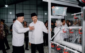 Kolaborasi Penerima Bansos dan Kopdes Merah Putih, Kemensos Bantu Kandang dan Ayam Petelur