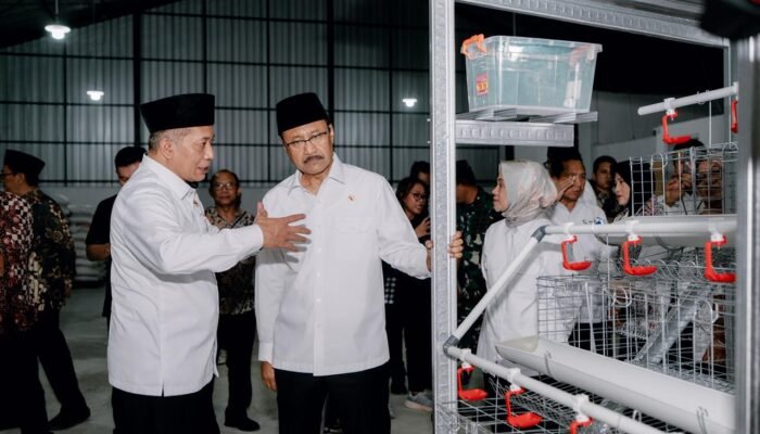 Kolaborasi Penerima Bansos dan Kopdes Merah Putih, Kemensos Bantu Kandang dan Ayam Petelur