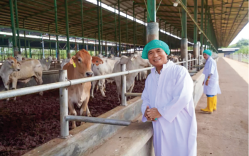 BERDIKARI, Pilar Swasembada Protein Hewani Nasional