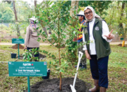 REHABILITASI HUTAN DAN LAHAN Untuk Alam dan Kesejahteraan