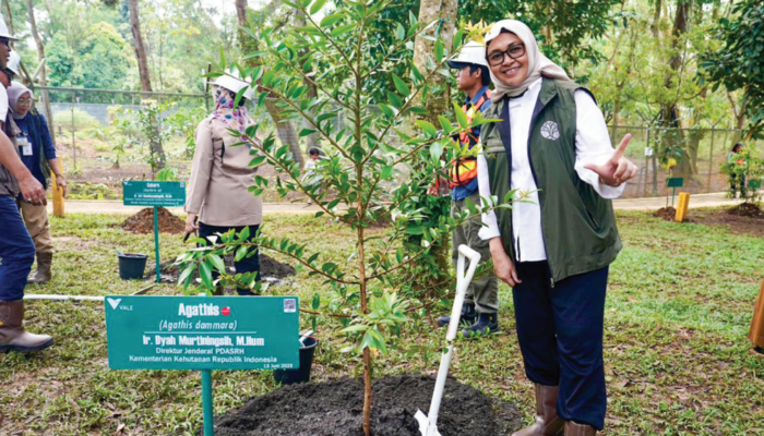 REHABILITASI HUTAN DAN LAHAN Untuk Alam dan Kesejahteraan
