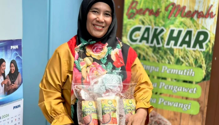 Temukan Peluang Kembangkan Usaha, Mardiana Pilih Tumbuh Bersama PNM Mekaar