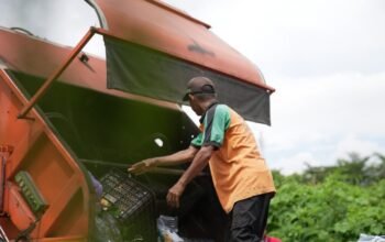 DLH Percepat Penanganan Sampah di Dalam Kota, TPS Liar Ditutup Permanen