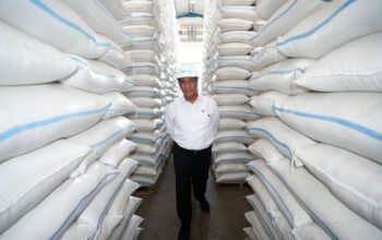 Gudang Sewa Bulog Terisi Penuh, Mentan Amran Optimistis Swasembada Pangan Menguat