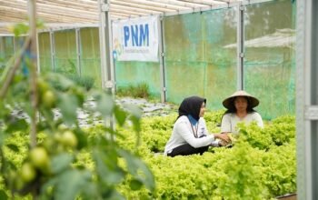 Indonesia Sustainability Award Apresiasi Komitmen ESG dan Pemberdayaan Berkelanjutan PNM