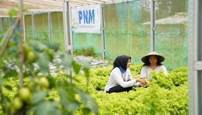Indonesia Sustainability Award Apresiasi Komitmen ESG dan Pemberdayaan Berkelanjutan PNM