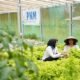 Indonesia Sustainability Award Apresiasi Komitmen ESG dan Pemberdayaan Berkelanjutan PNM