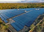 Transformasi Energi Dimulai, PLN Enjiniring Siapkan Perencanaan Proyek PLTS Mentari Nusantara I 1,225 GW
