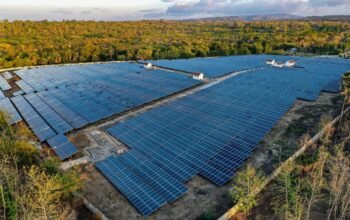 Transformasi Energi Dimulai, PLN Enjiniring Siapkan Perencanaan Proyek PLTS Mentari Nusantara I 1,225 GW