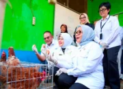 Menteri PPPA dan Kepala BPS Apresiasi Pemberdayaan PNM untuk Usaha Ekonomi Sirkular