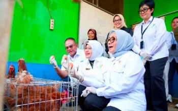Menteri PPPA dan Kepala BPS Apresiasi Pemberdayaan PNM untuk Usaha Ekonomi Sirkular