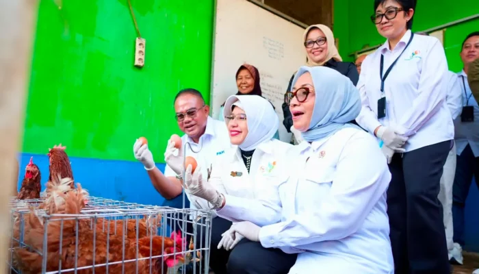 Menteri PPPA dan Kepala BPS Apresiasi Pemberdayaan PNM untuk Usaha Ekonomi Sirkular