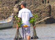 Hari Mangrove Sedunia Jadi Momentum BNI Perkuat Komitmen Pelestarian Lingkungan dan Ekonomi Pesisir