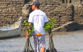 Hari Mangrove Sedunia Jadi Momentum BNI Perkuat Komitmen Pelestarian Lingkungan dan Ekonomi Pesisir