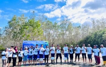 PNM Hadirkan Dampak Berantai bagi Lingkungan dan Ekonomi Pesisir di Hari Mangrove Sedunia