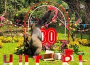 Beragam Kegiatan Menarik Meriahkan HUT Ke-81 RI di TMR