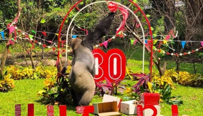 Beragam Kegiatan Menarik Meriahkan HUT Ke-81 RI di TMR