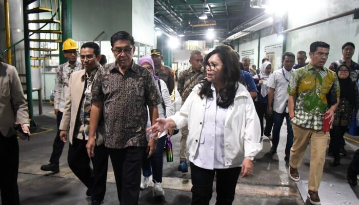 Komisi VII Kawal Hilirisasi Sawit dan Ketersediaan Minyak Goreng Nasional