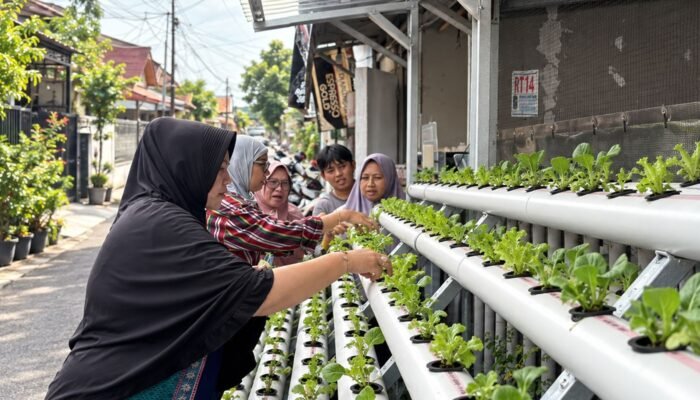 PNM Sulap Lorong Kota Menjadi Sumber Pangan Lewat Program Agro Urban Madani