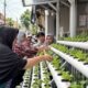 PNM Sulap Lorong Kota Menjadi Sumber Pangan Lewat Program Agro Urban Madani