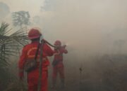 Hotspot Sumsel Turun 49 Persen, Pengendalian Kalteng-Kalbar Diperkuat