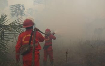 Hotspot Sumsel Turun 49 Persen, Pengendalian Kalteng-Kalbar Diperkuat