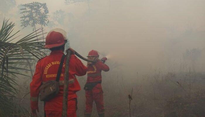 Hotspot Sumsel Turun 49 Persen, Pengendalian Kalteng-Kalbar Diperkuat