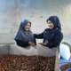PNM Kembali Terbitkan Orange Bond dan Orange Sukuk Rp2,59 Triliun, Perkuat Pembiayaan dan Pemberdayaan Perempuan Ultra Mikro
