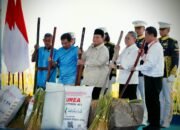 Dua Tahun Kabinet Merah Putih Prabowo-Gibran: Stok Beras Kuat, Guyuran Beras Pemerintah ke Masyarakat Cetak Rekor 4 Juta Ton