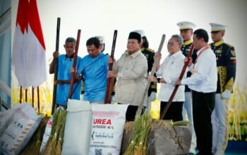 Dua Tahun Kabinet Merah Putih Prabowo-Gibran: Stok Beras Kuat, Guyuran Beras Pemerintah ke Masyarakat Cetak Rekor 4 Juta Ton