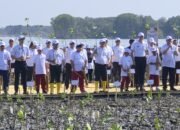 Jaga Pesisir Pantura, Pelindo Dukung Pemulihan Ekosistem Mangrove di Demak